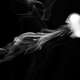 Illustration for article titled 82 Striking Photos of Smoke